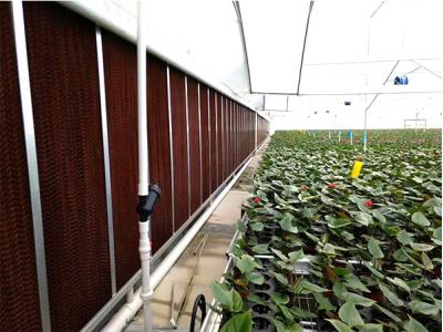 什么是水簾風機？